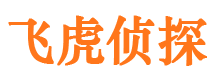 汉阴外遇出轨调查取证